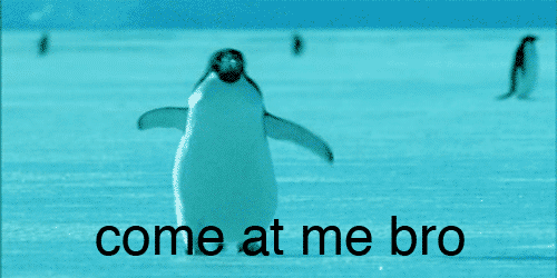 penguin running with caption Come at me, Bro