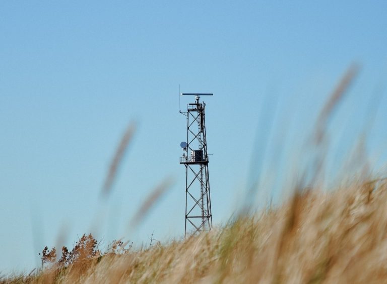 A cell tower rises above a field of grain.
