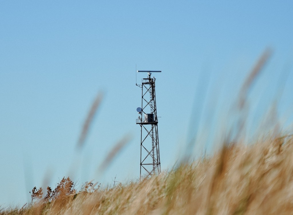A cell tower rises above a field of grain.